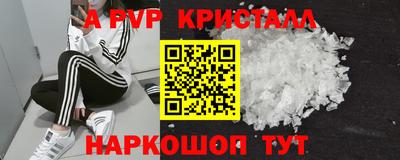 спиды Гай