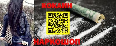 спиды Гай