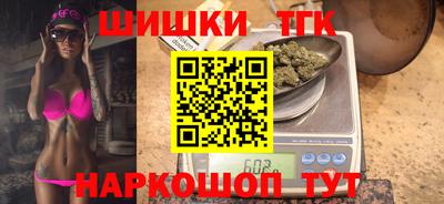 спиды Гай