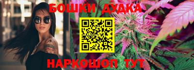 МДПВ Гатчина