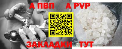 спиды Гай