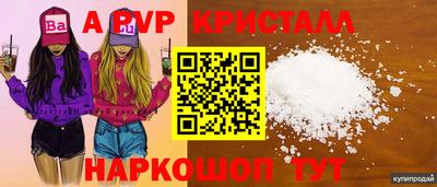 спиды Гай