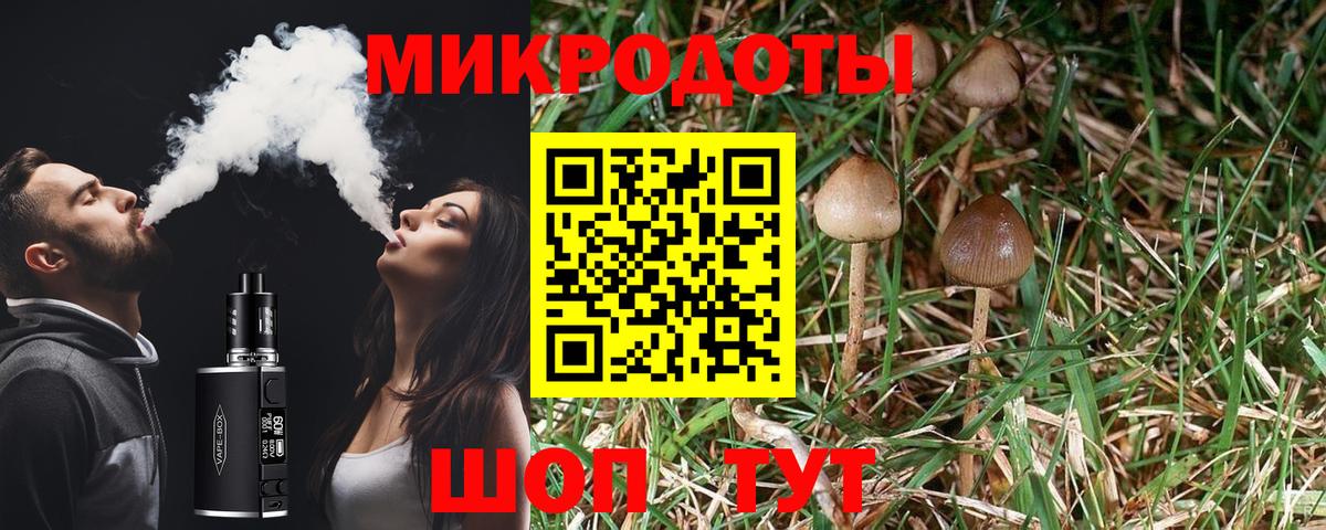 Галлюциногенные грибы Cubensis  Псилоцибиновые грибы ЛСД  Вход с VPN  где купить наркотик  Новый Уренгой 
