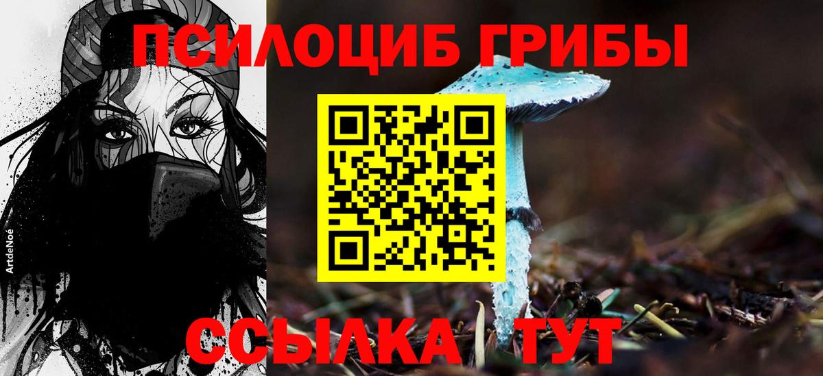 Галлюциногенные грибы Magic Shrooms Новый Уренгой